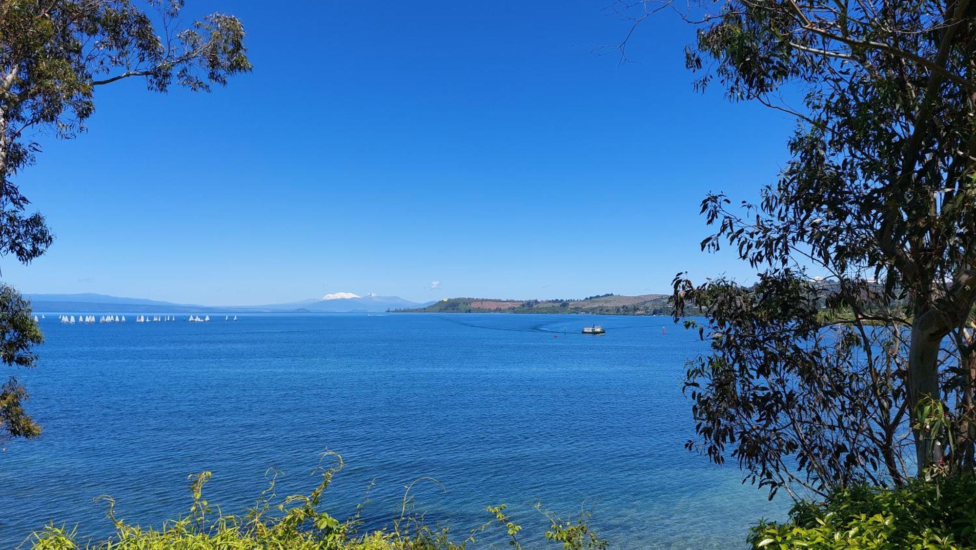 Bed And Breakfast Happy Home Taupo Accommodation Ngoại thất bức ảnh